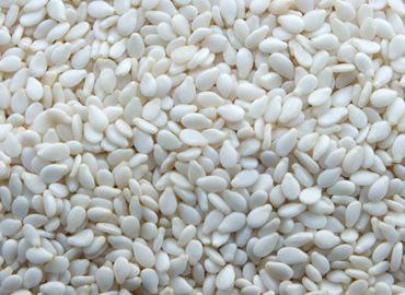 Wollega Sesame Seed - Premium Quality